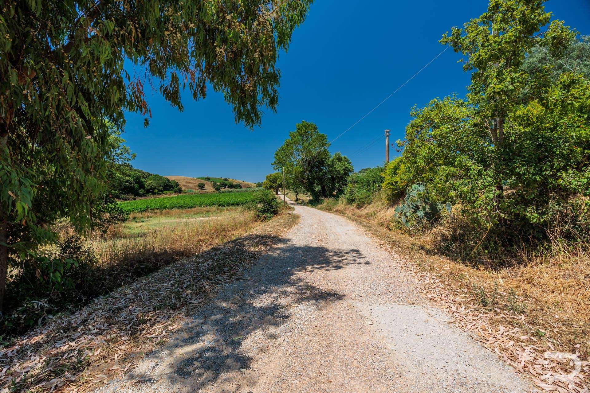 39_dbvVQCK Farmhouse/Rustico – Magliano in Toscana